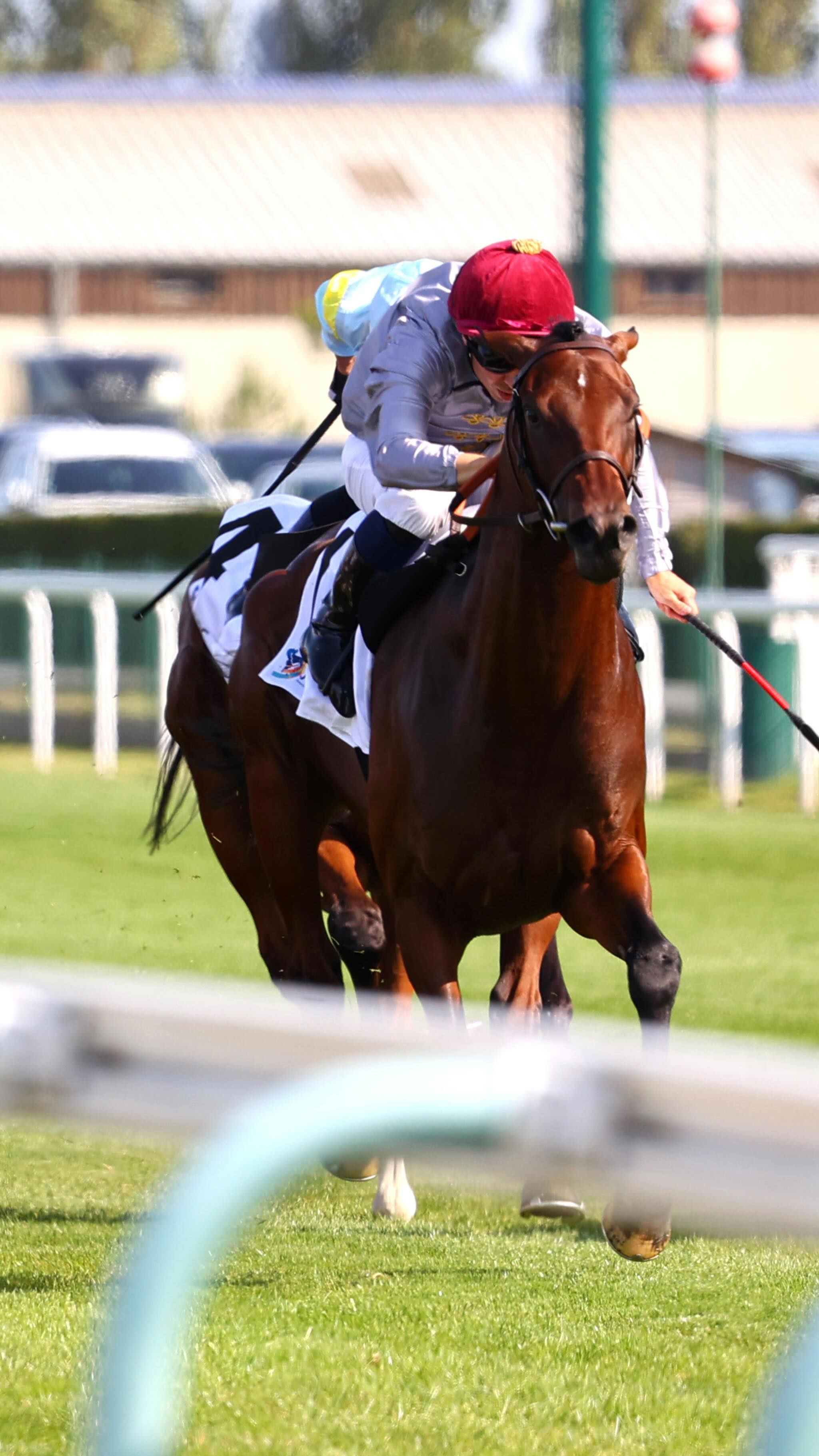 SAHLAN just landed the Gr.3 Prix Daphnis at Deauville - a solid follow ...