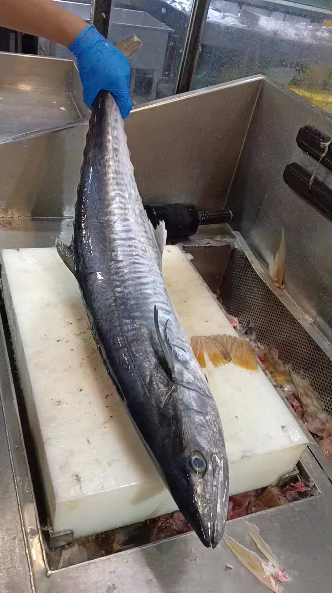 Professional fresh king fish cutting slice techniques and cooking ...