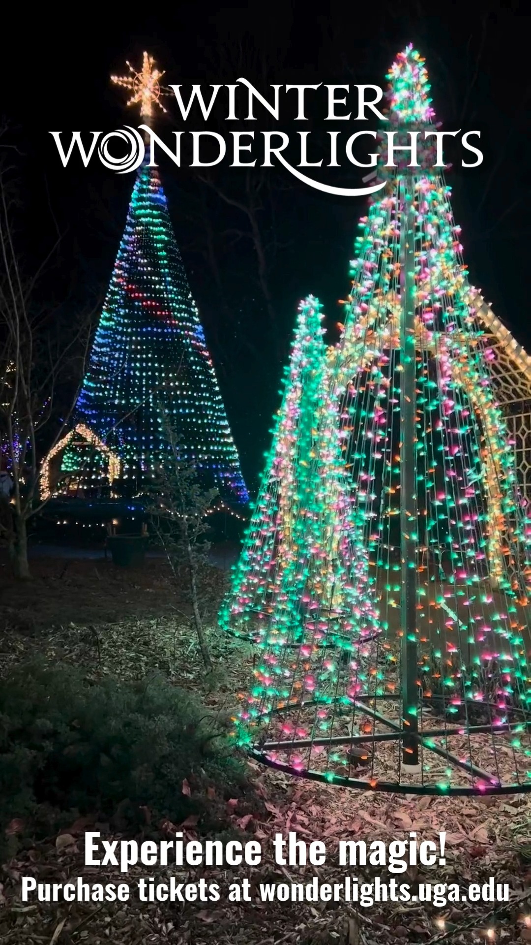 🚨 NEW DATES ALERT! 🚨 Winter WonderLights is now open Dec. 19 & 20. Grab ...