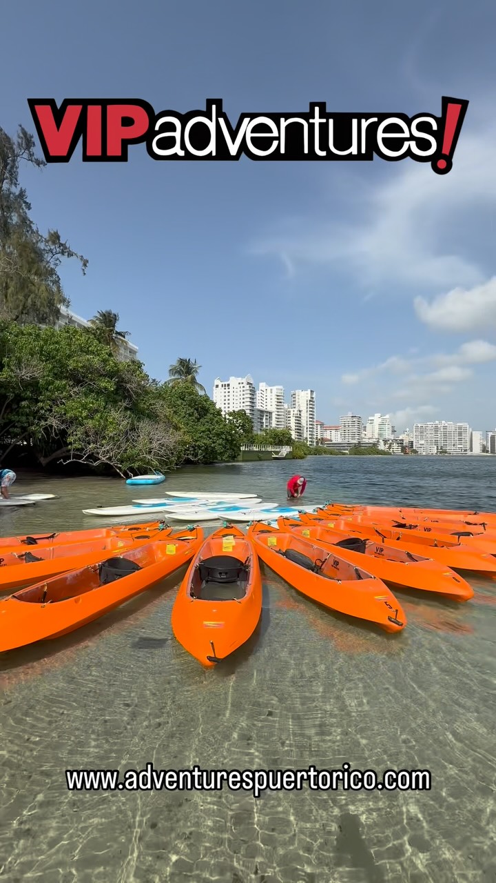 VIP Adventures Puerto Rico... - VIP Adventures Puerto Rico