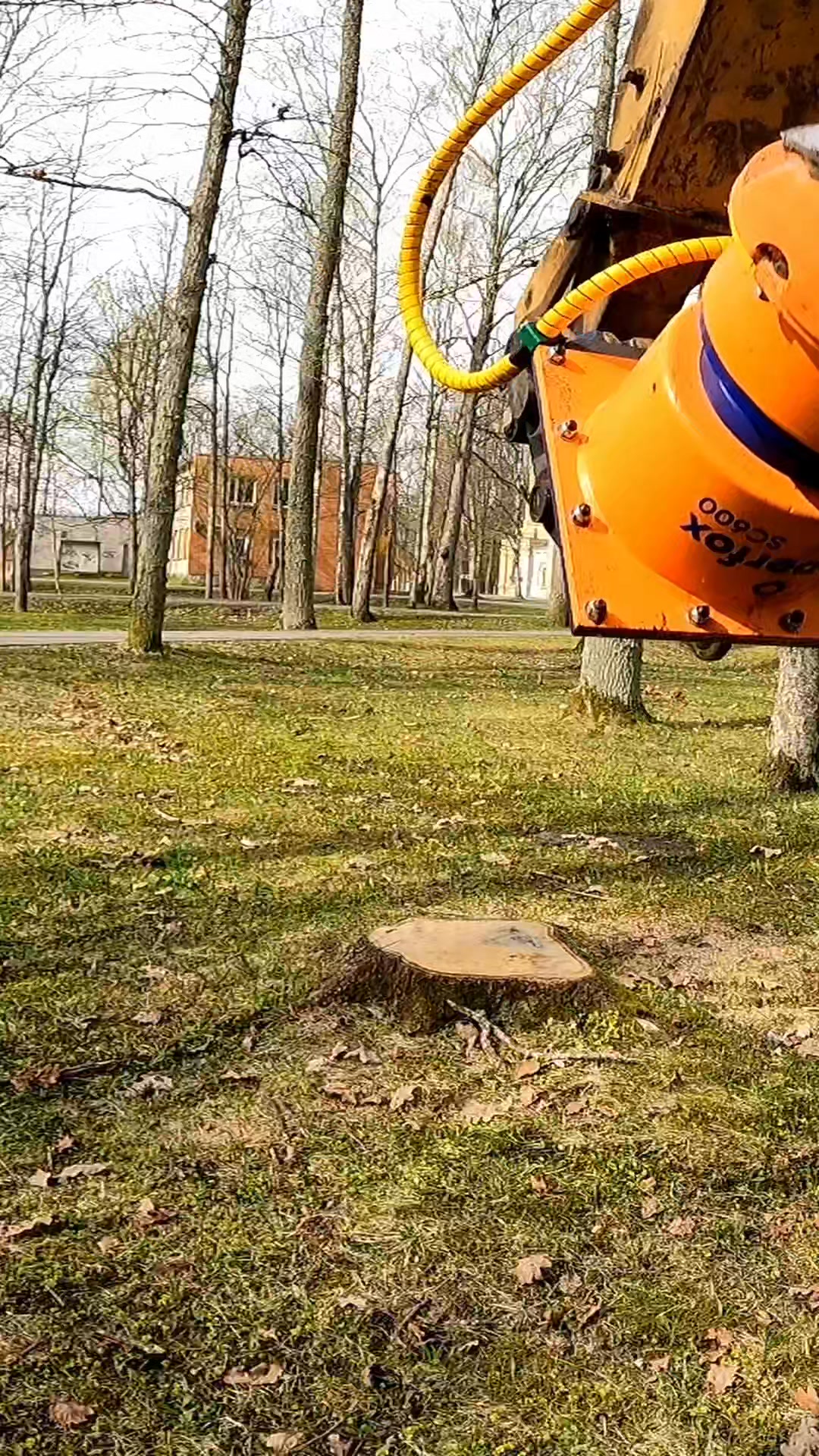 Sometimes all you need is 5 minutes with a backhoe #treeservice # ...
