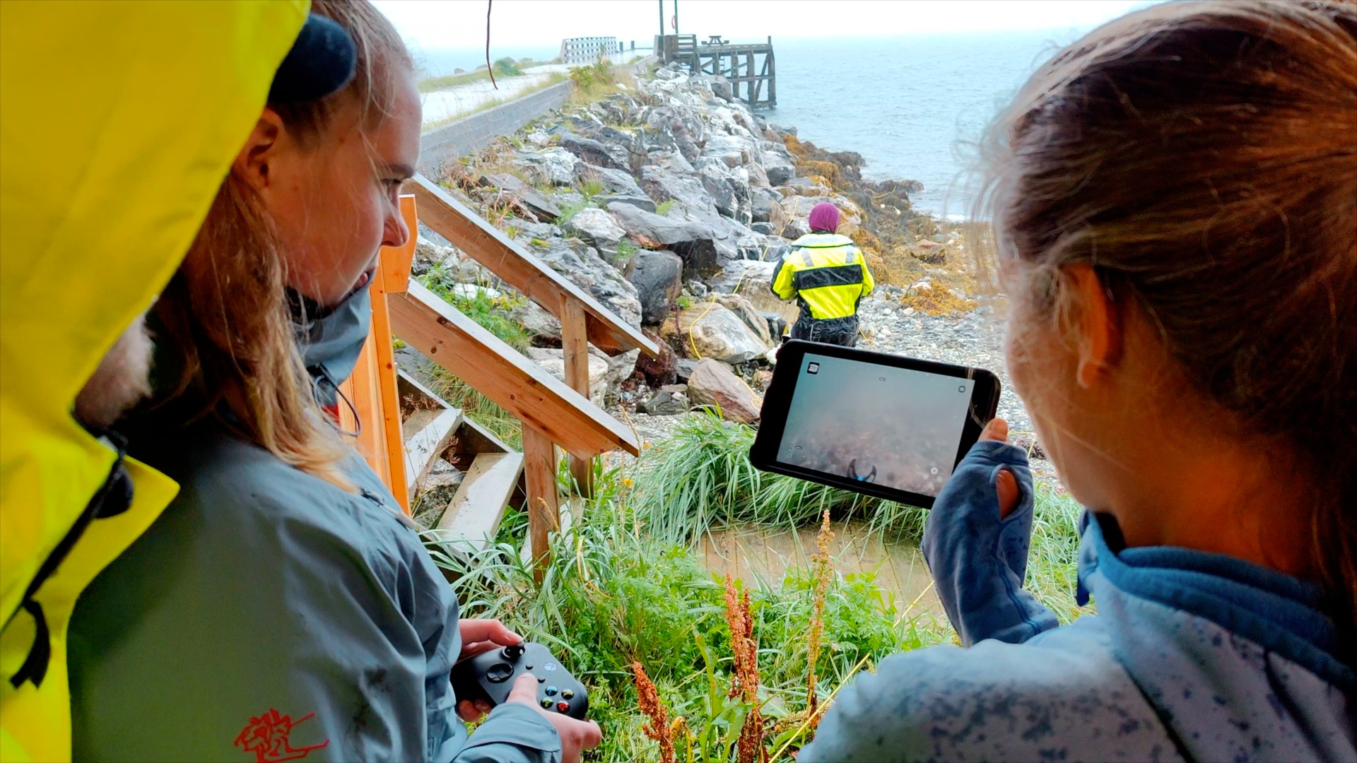 How the university in Tromsø is documenting intertidal species using ...