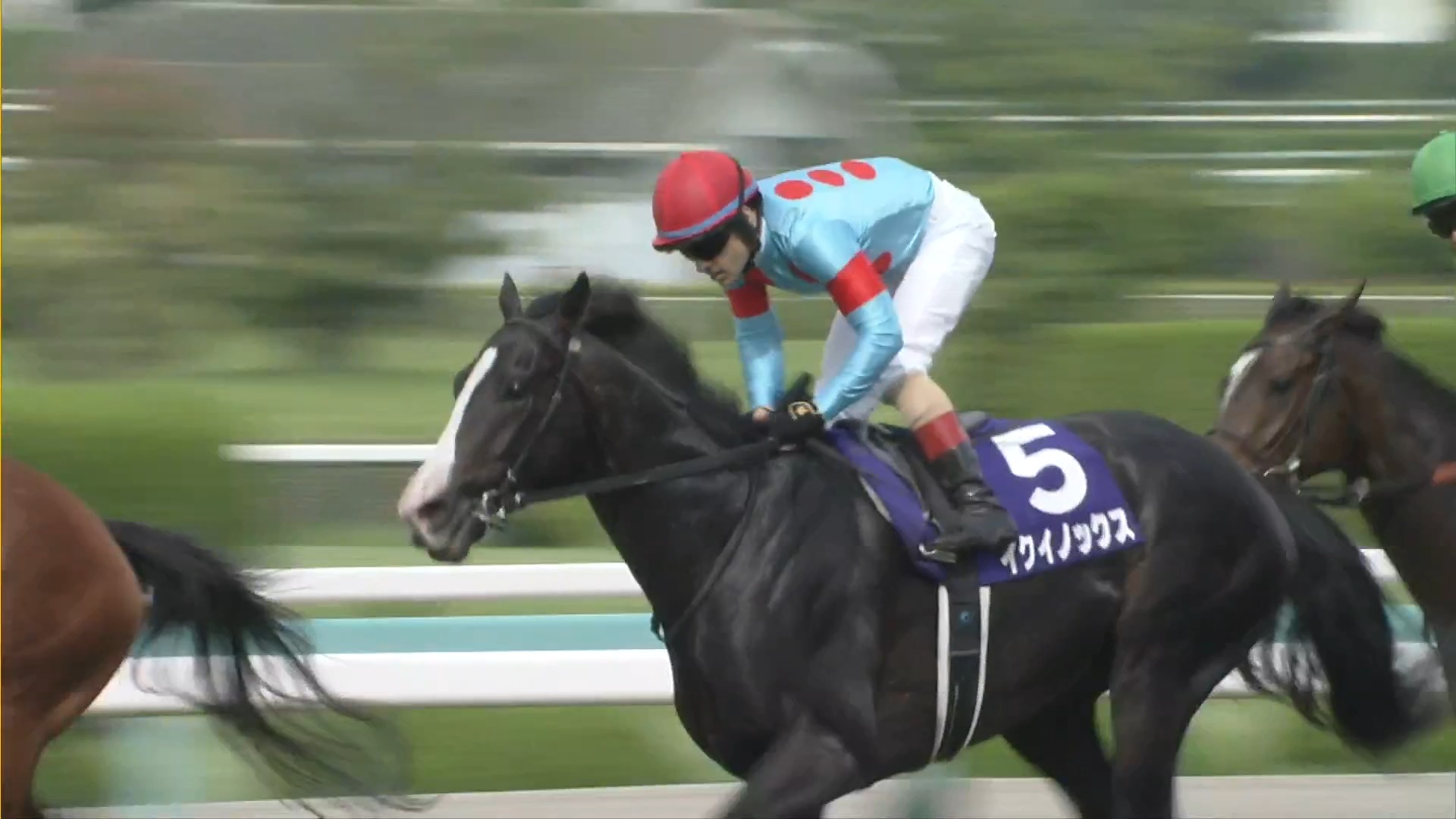 Oh Equinox, we just had to 🌟🏎 #イクイノックス | #競馬 | #日本