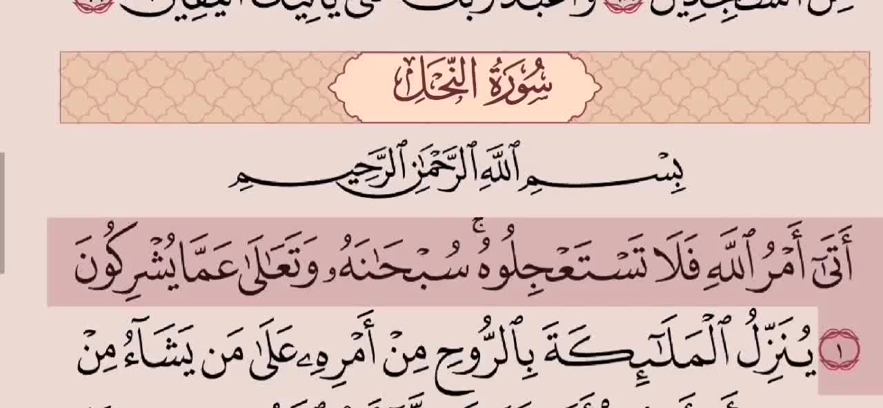 سورة النحل لفضيلة الشيخ Qouran Karim القرآن الكريم