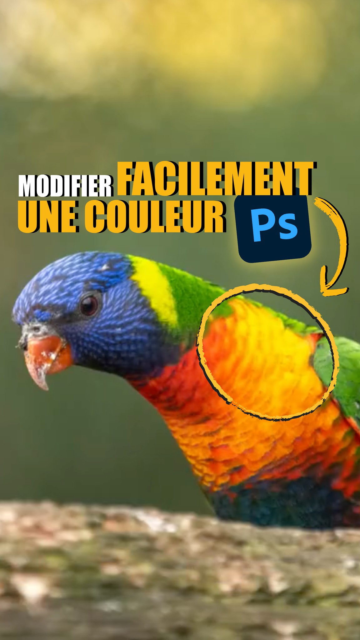 La colorimétrie te fait peur ? 😱 Je comprends ! Les outils à ta ...