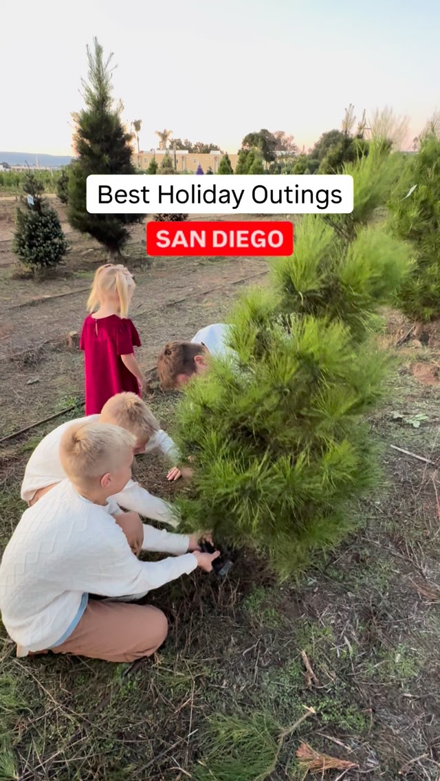 Comment TREE and I’ll send you the website with more info! 🌲 Open 10 am ...