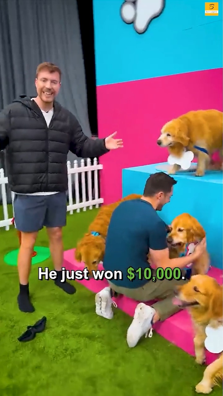 mrbeast-gave-him-10-000-if-he-could-find-his-dog-mrbeast-animals