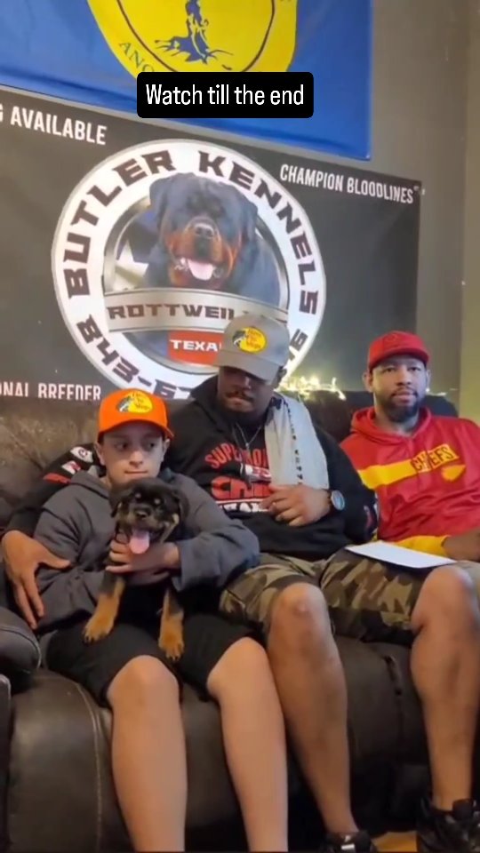 Butler Kennels Rottweilers | Gatesville TX