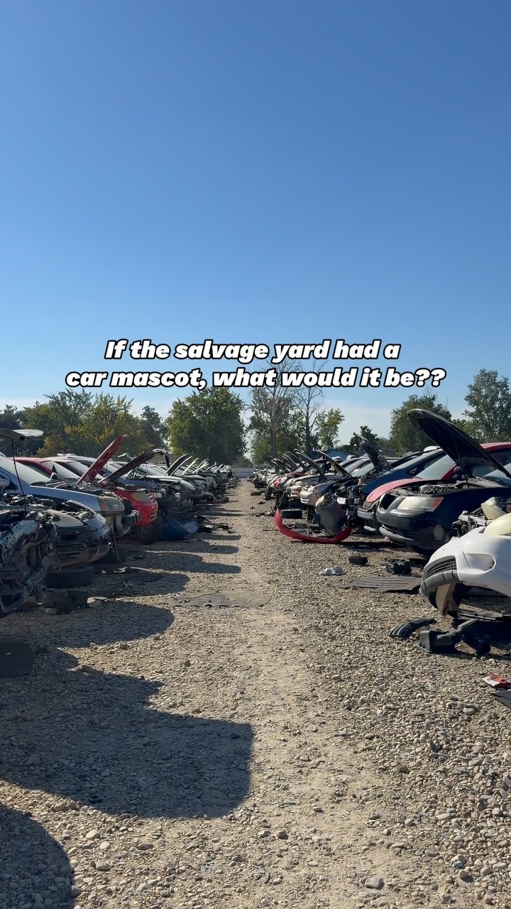 If the salvage yard had a car mascot, what would it be?? 📍3931
