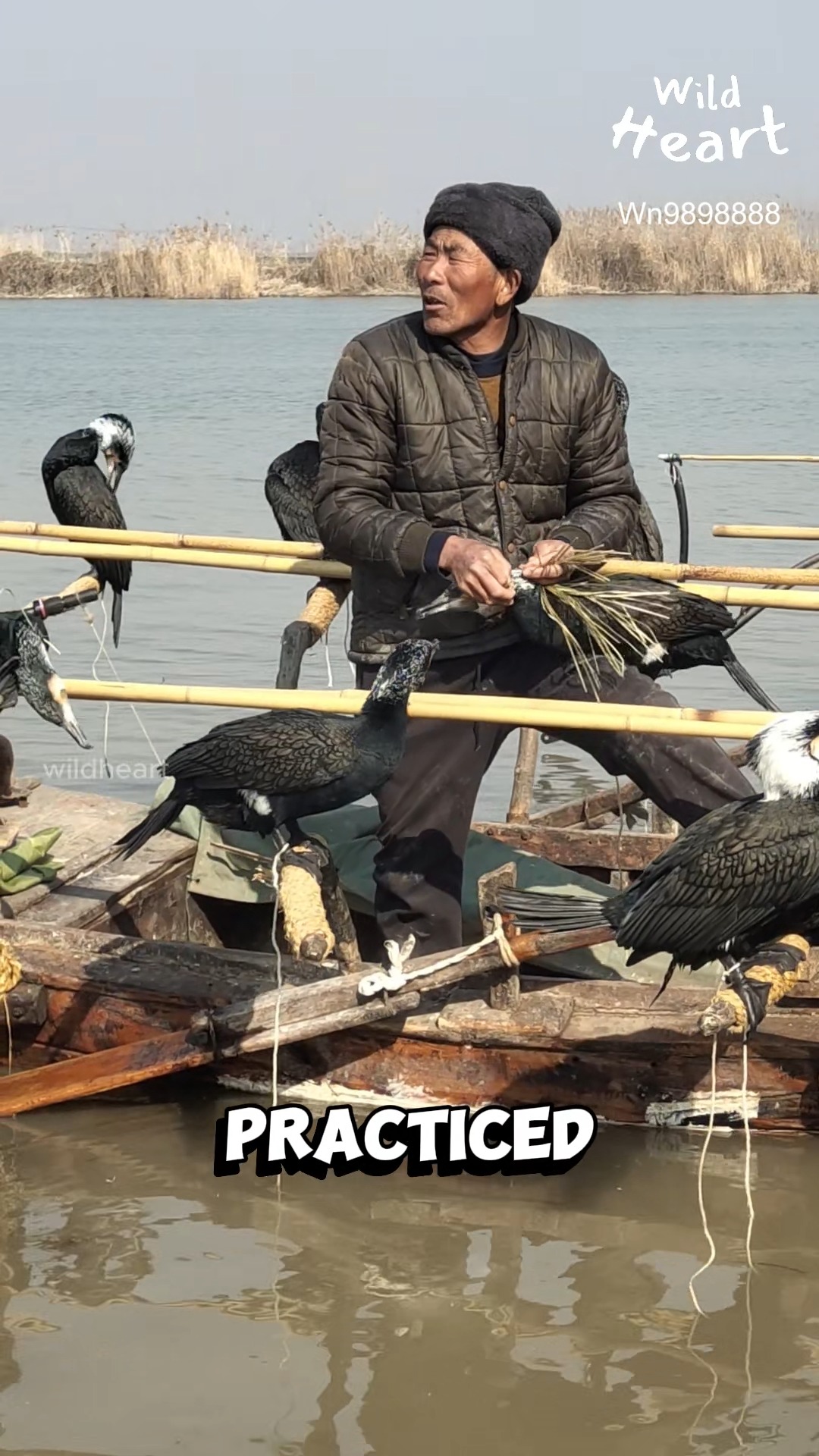 bird fishing using a pole Smarkey Dog Catch Net Animal Catching Wildlife Control Tool Fun fact: In China, fishermen