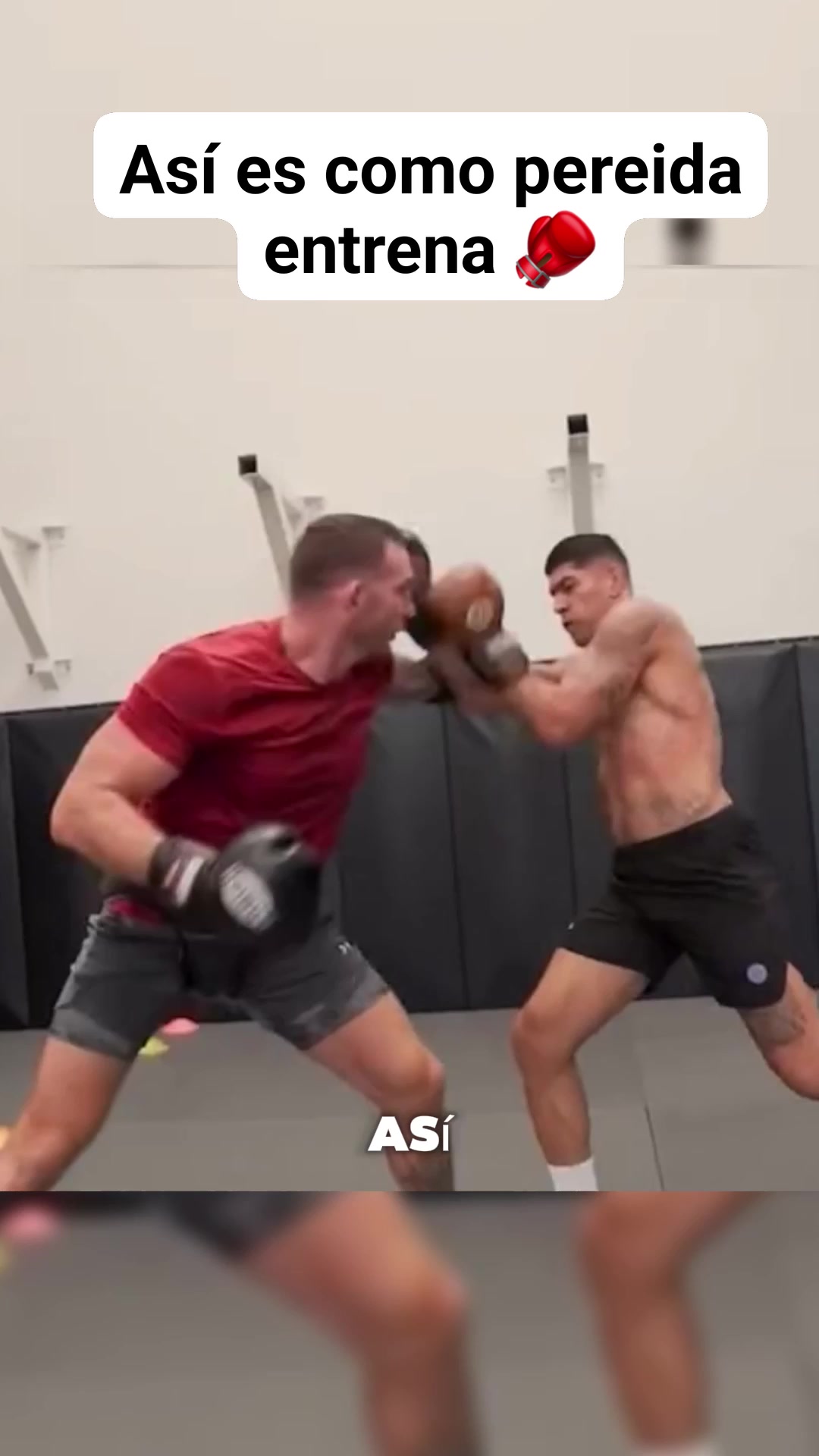 Asi es como pereida entrena | Benjamin Boxing | Facebook