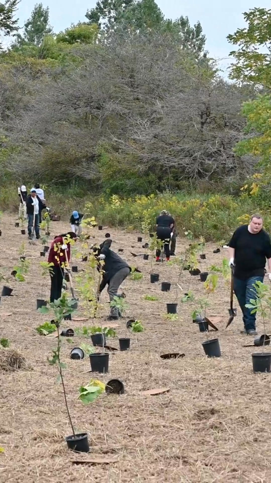 From seed 🌱 to canopy 🌳, we're planting trees across the Niagara ...