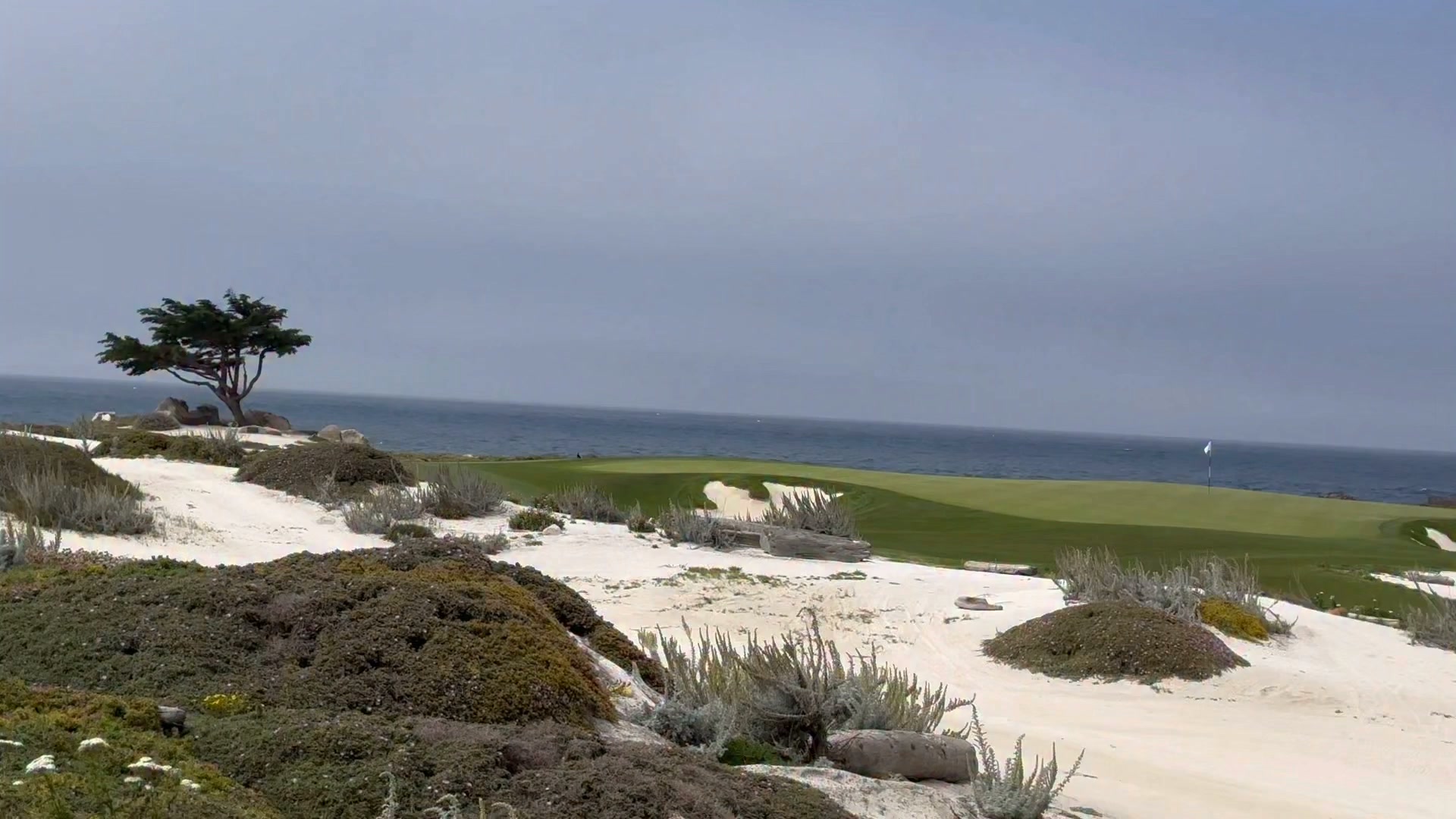 Pebble Beach wins the prize for its unique, rugged coastline & oceanfront golf courses 🏆🌊🧡⛳️ so beautiful 🌟 At the Lodge / Stillwater Grill for lunch | Shawna Talbot-Ponto