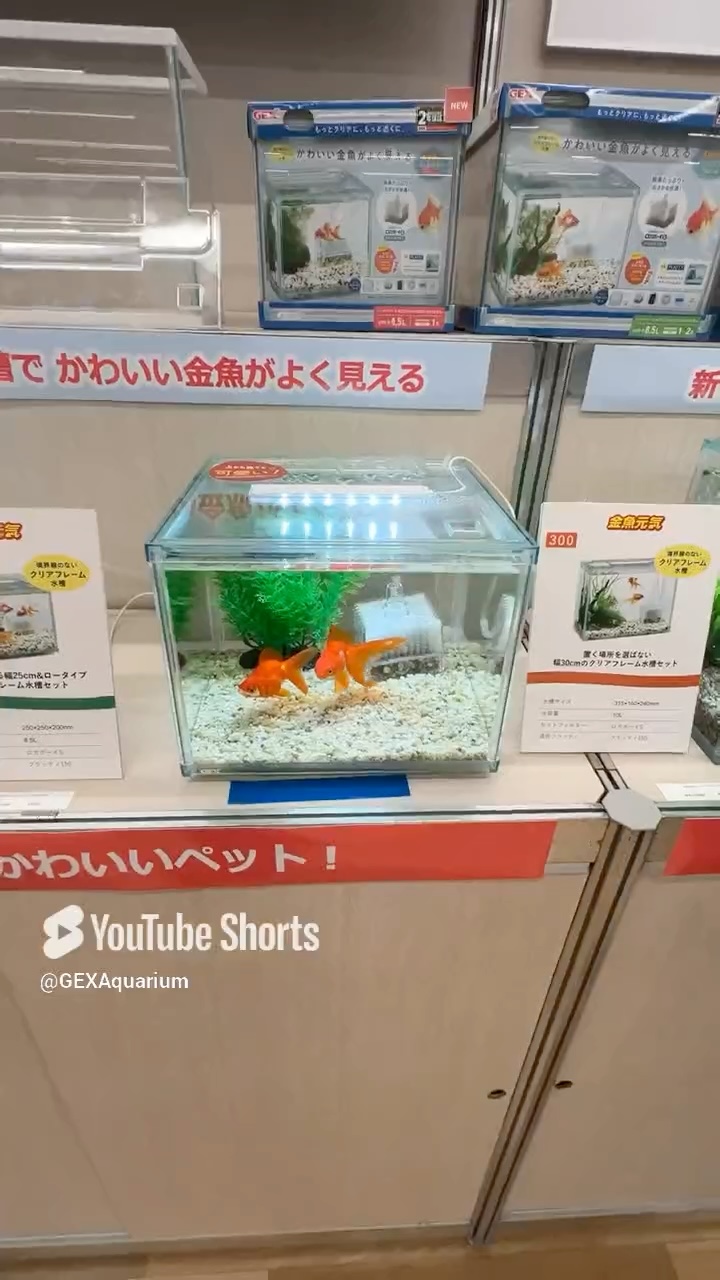2025年新商品をちょい出しシリーズ！ お次は金魚元気ブランドより 