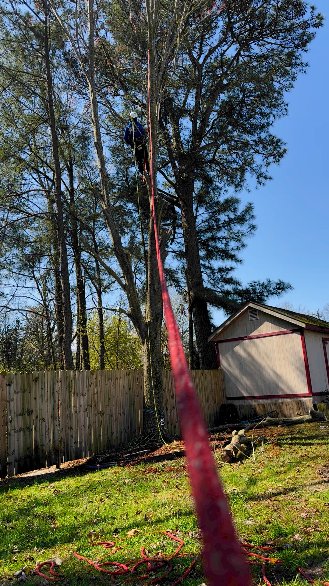 Amg Lawn & Tree Services