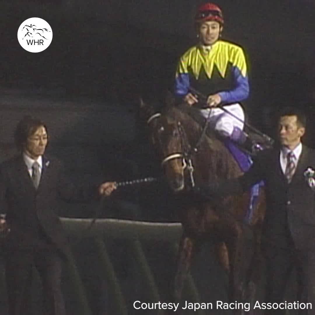 DEEP IMPACT is 17 now and still looking magnificent
