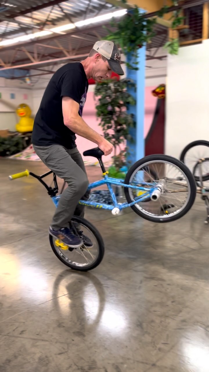 Todd Gully @ Flatopia Decade to Lardyard Backwheel Pogo to Lawnmower ...