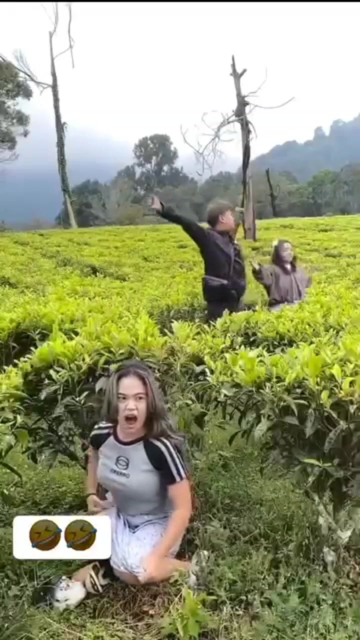 Hahahah 🤣😂😅 #fypageシ #fypシ #fyp #funnyvideos #funnyvideo #reel # ...