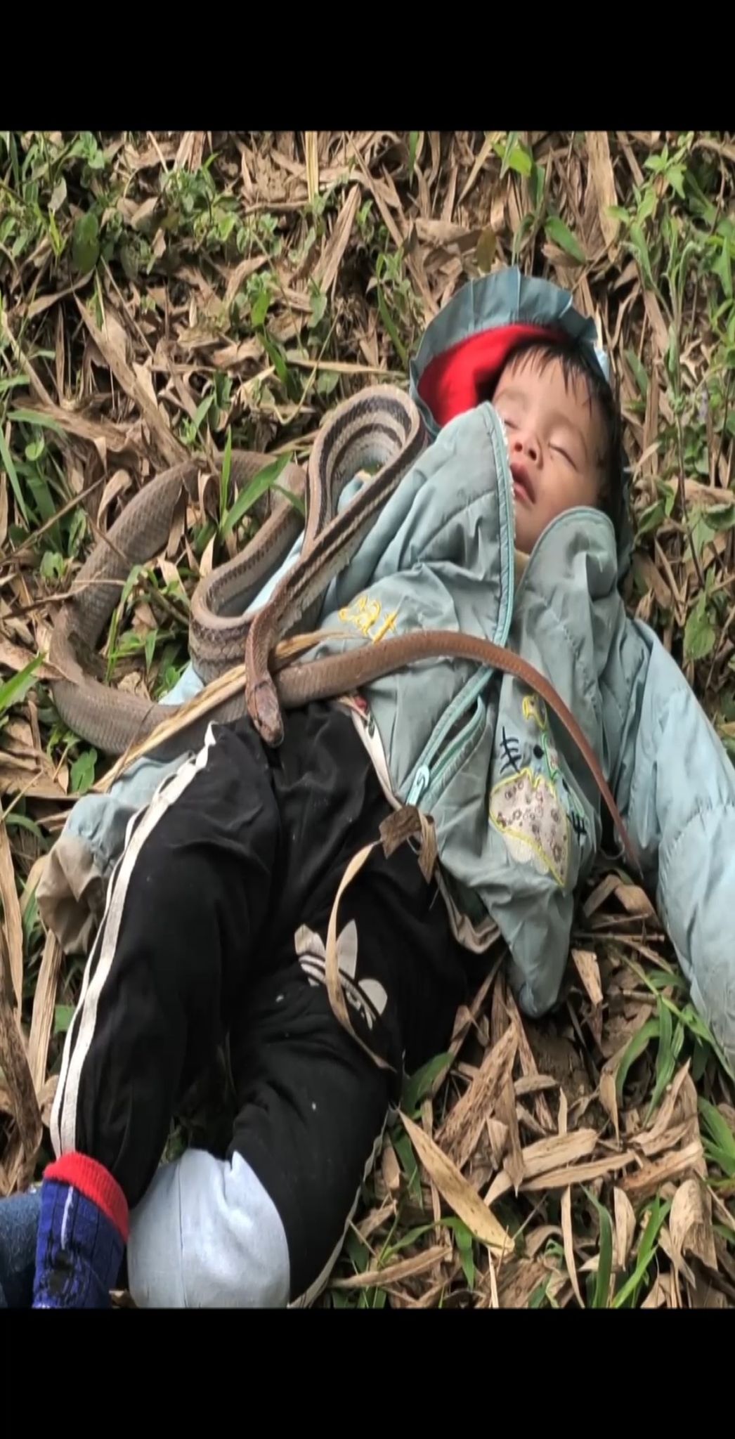poor-baby-jazmine-wilkins-facebook