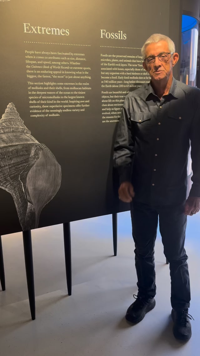 Today, learn about our fossil exhibit in the Great Hall of Shells. Plan ...