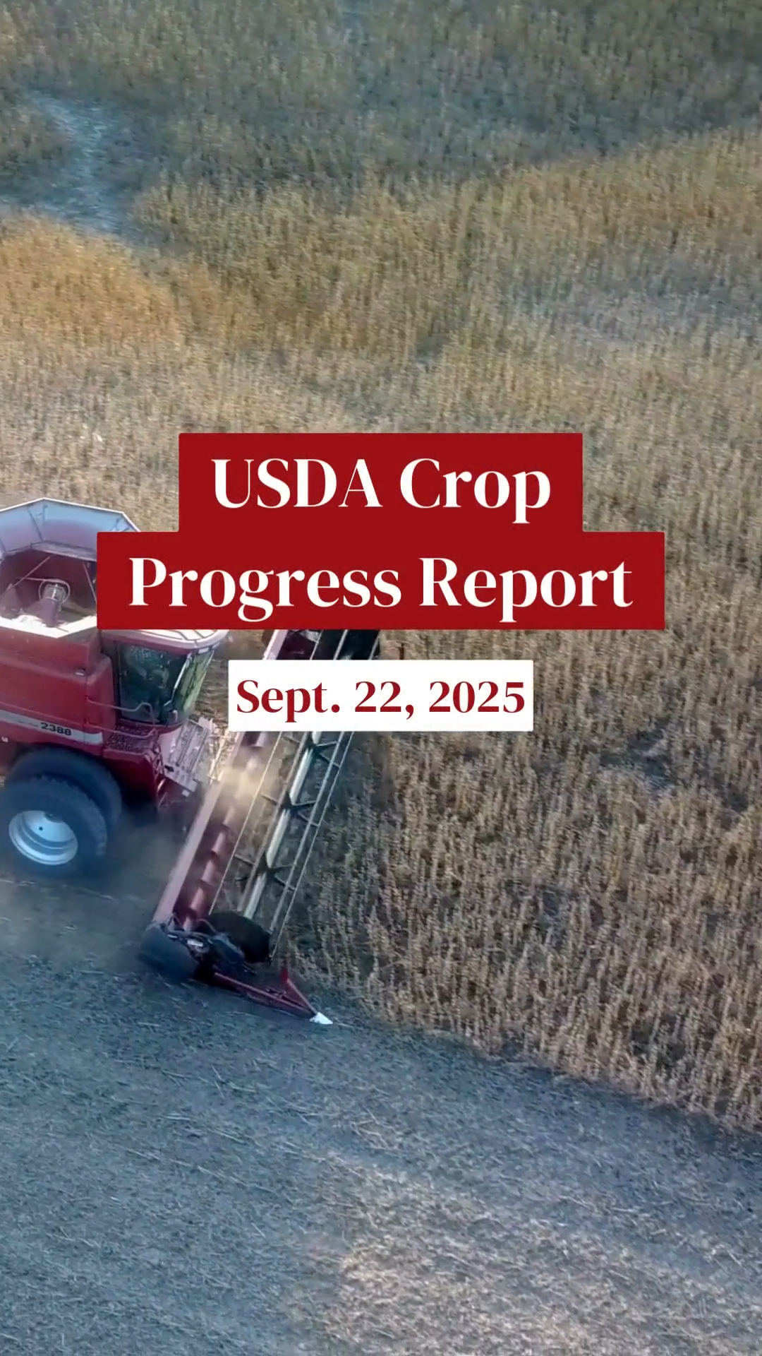 🌽🌱🌾 ICYMI: USDA’s latest Crop Progress Report is out! 👉 Corn harvest ...