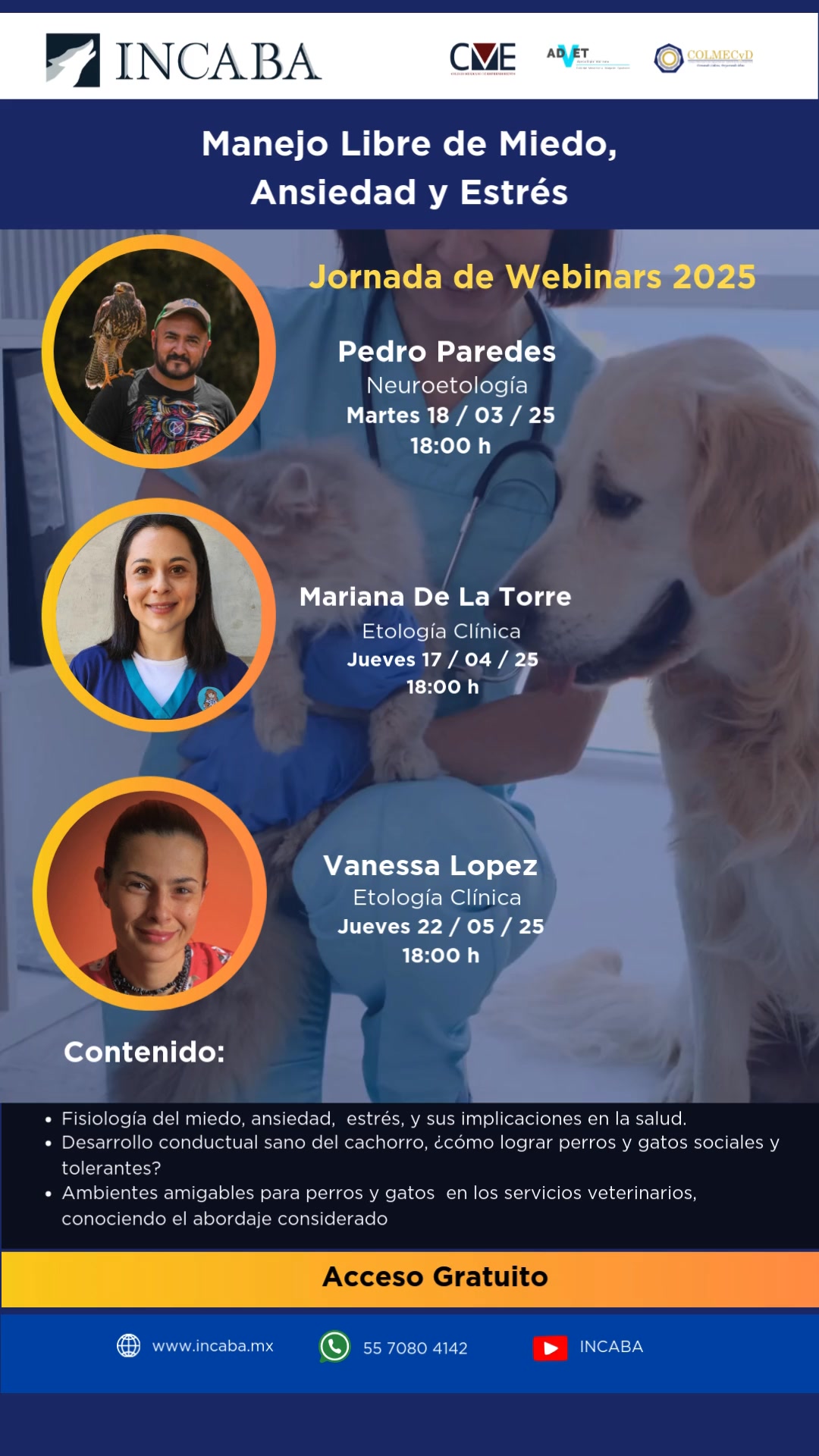 Incaba Servicios Profesionales | Mexico City