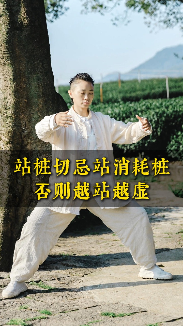 站桩切忌站消耗桩～否则越战越虚…… #站桩 #大马桩 #元气导引 #传统智慧 #站桩教学 #站桩新手 #养生 | 活到老动到老 Move ...
