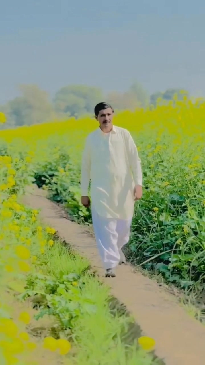Majboor Solangi
