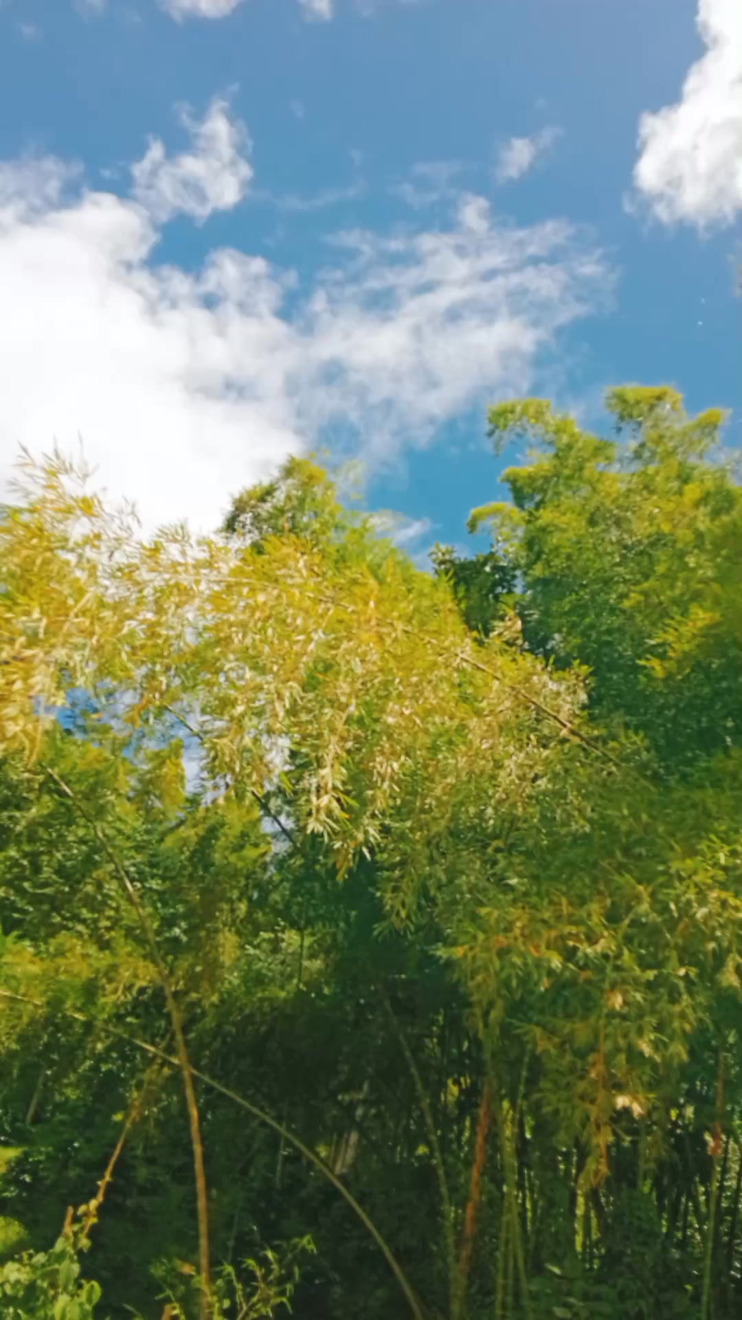 #viralvideoシ 💥🙏🌄💯 ️ | naturaleza infinita | Facebook
