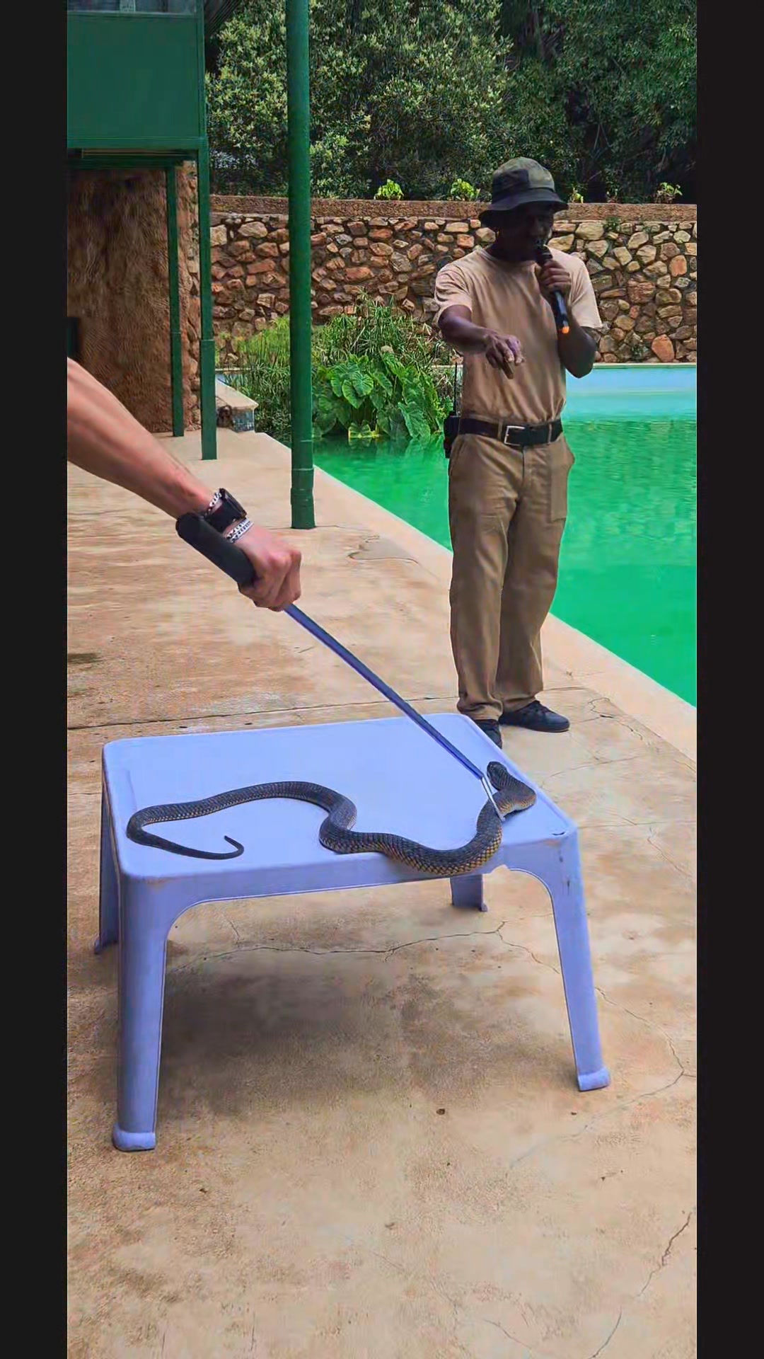 Hartbeespoort Snake and Animal Park 🦜📚 Where Learning Comes to Life ...