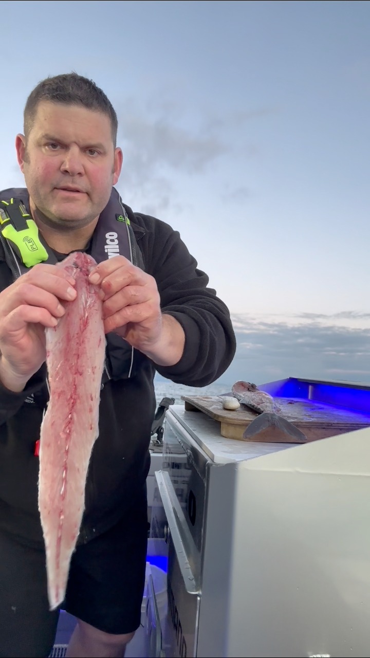 berkley gulp gulp alive plastics tackle box burn storage Gulp! Alive! Recharge Liquid Color:Red Chrome flasher bottom bouncer 13 Fishing Creed X Alive Grub has become