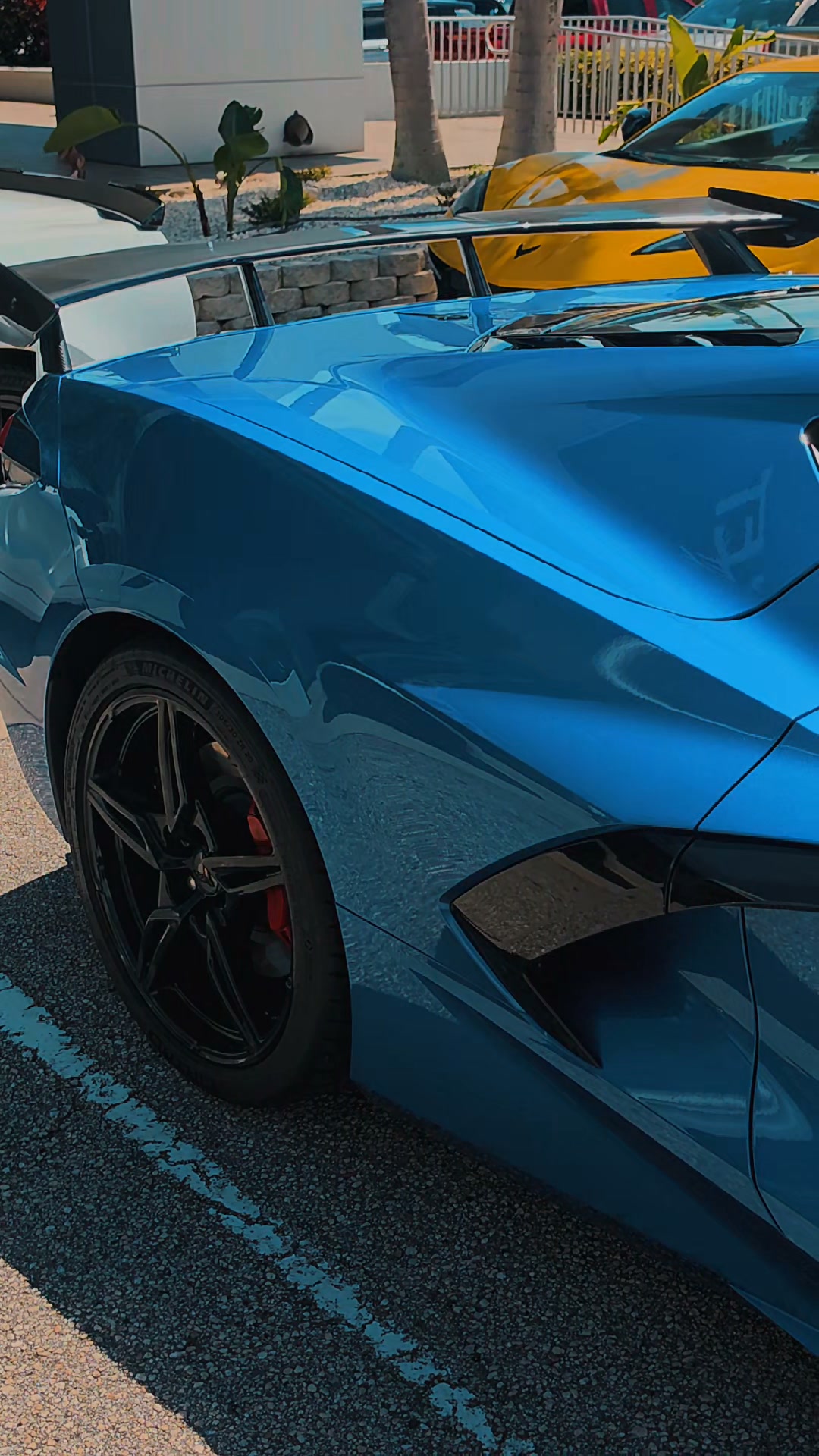 My buddy Jack stopped by today with his killer Riptide Blue C8