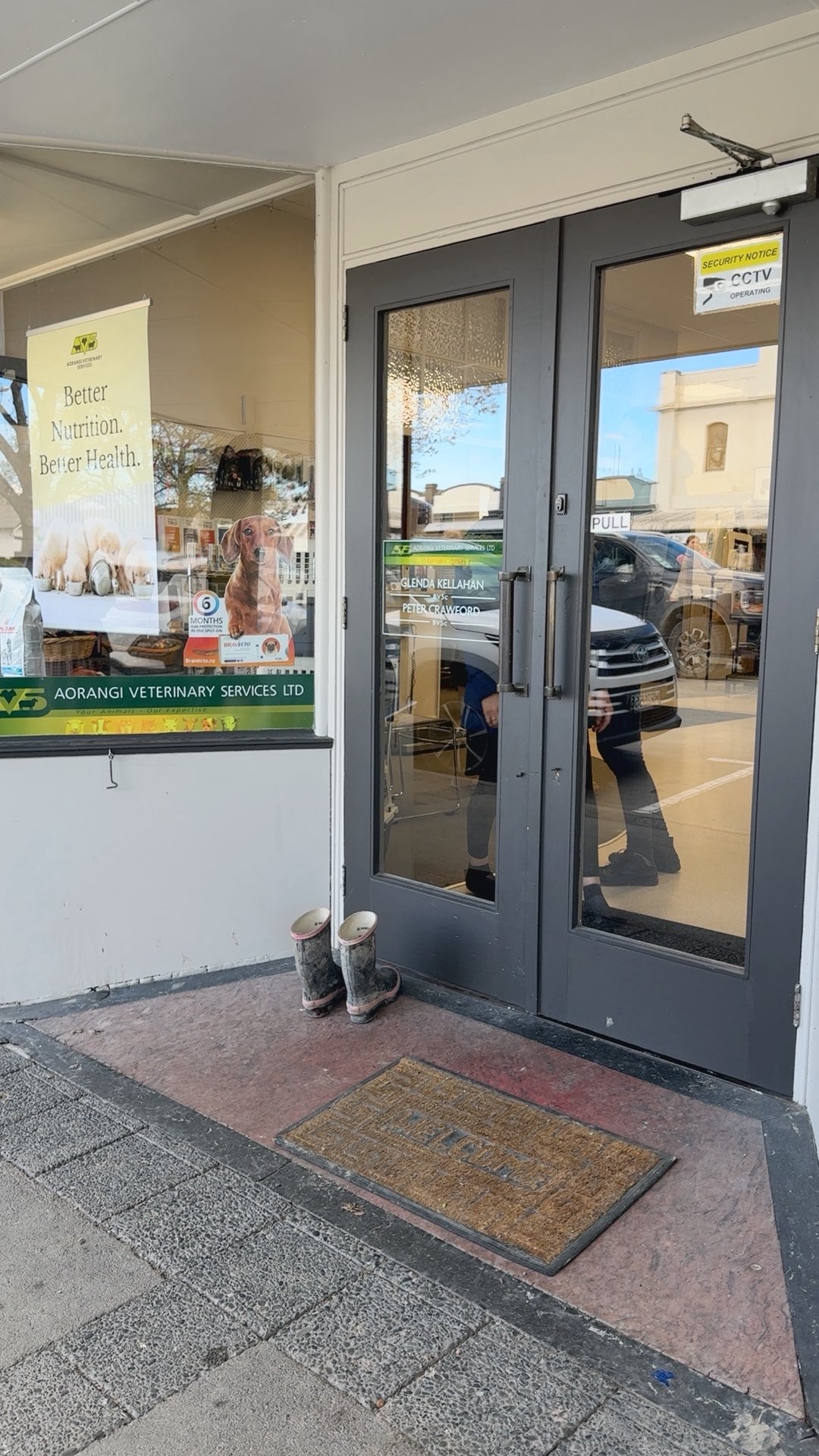 A day in the Fairlie clinic (in the eyes of our furry friends) 😻 The ...