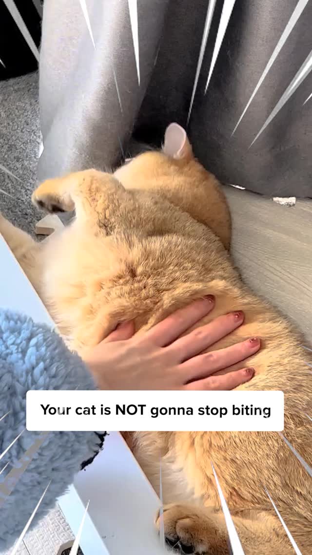 You misunderstood your cat! 😿 Comment “Stick” and I’ll DM the 🔗 to you ...