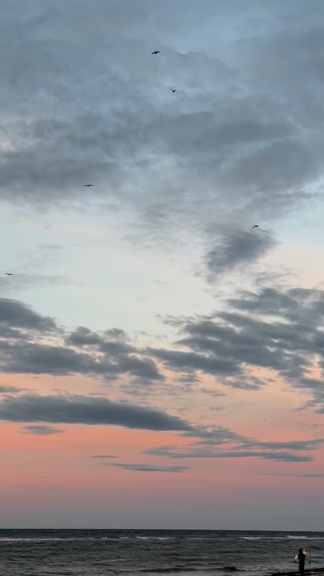Am Strand vergisst man alle Sorgen…! Fly like bird - don’t worry ...