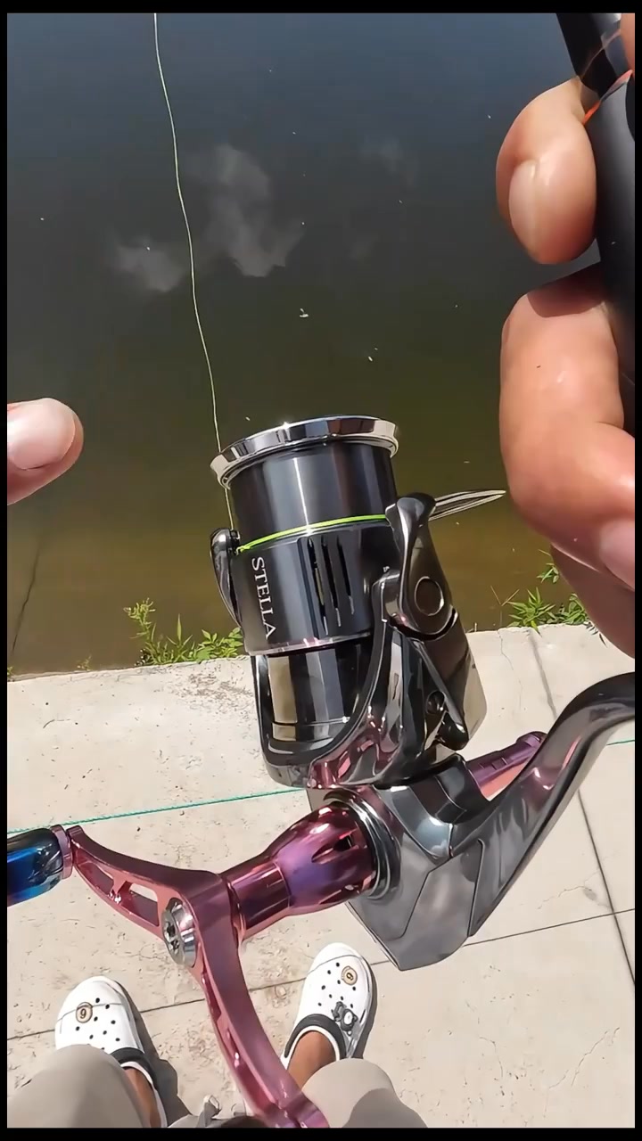 reel shimano elf c3000sdh 3000 Spin – Tackle World These advanced technologies are applied to the lightweight HAGANE aluminum frame Shimano Fishing Stradic C3000Fk Hg