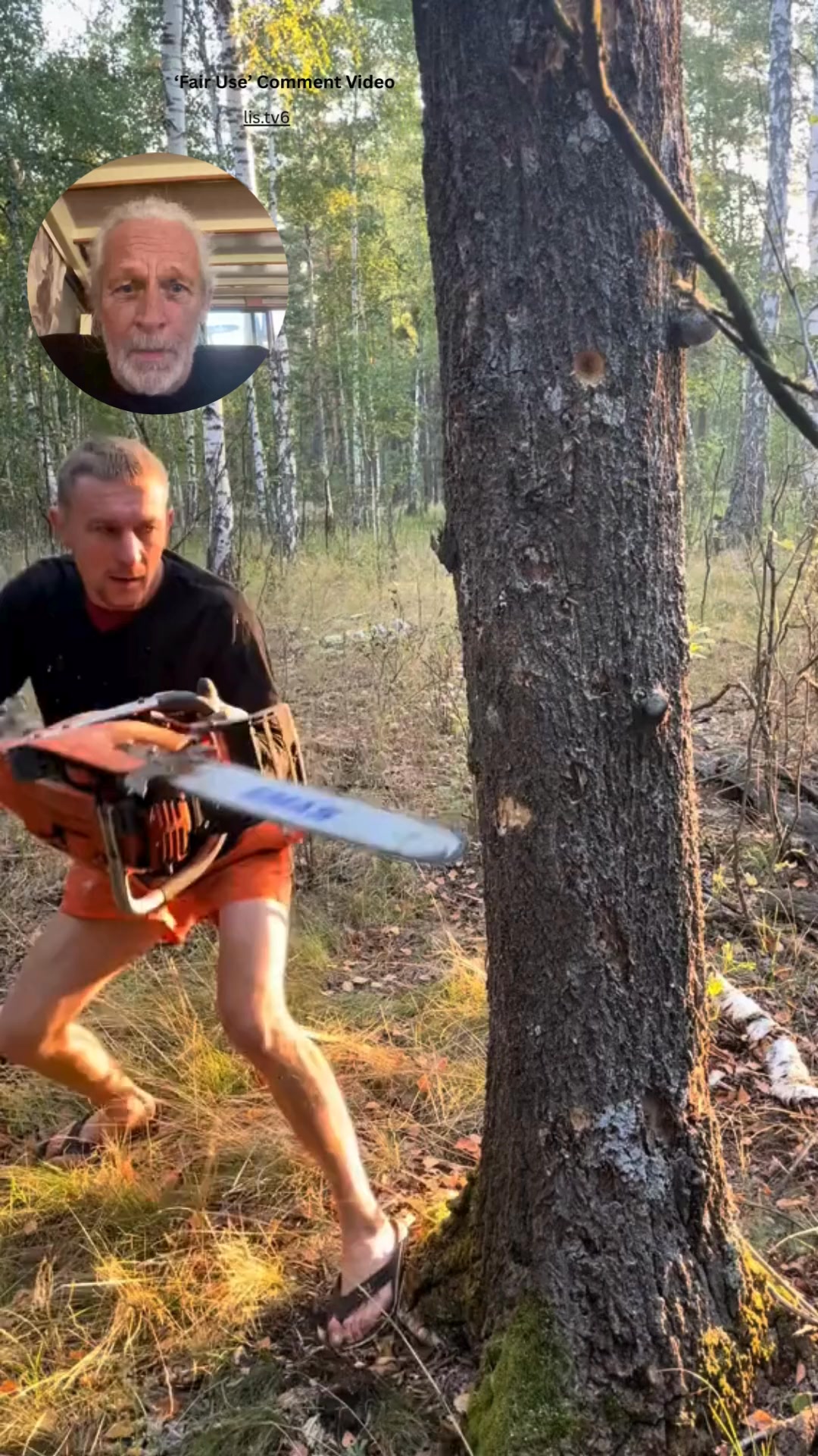 Directional Controlled Tree Felling #tree #treecutting #diy #howto # ...