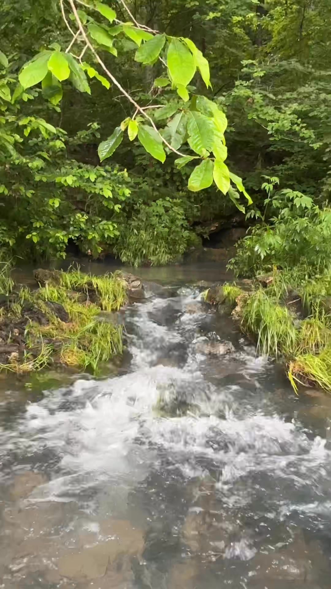 Going down the Jacks Fork River, you’ll come to Rymers Ebb & Flow ...