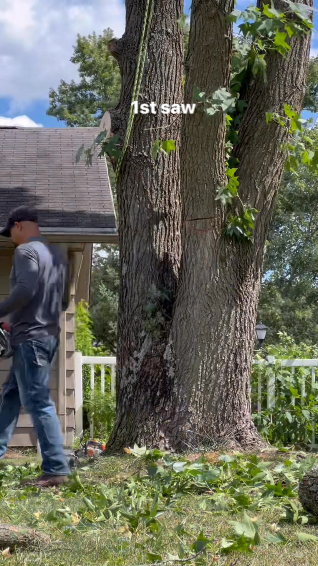 3 chainsaws 1 notch #facebookvideo #fb #post #stihl #saw #trees # ...