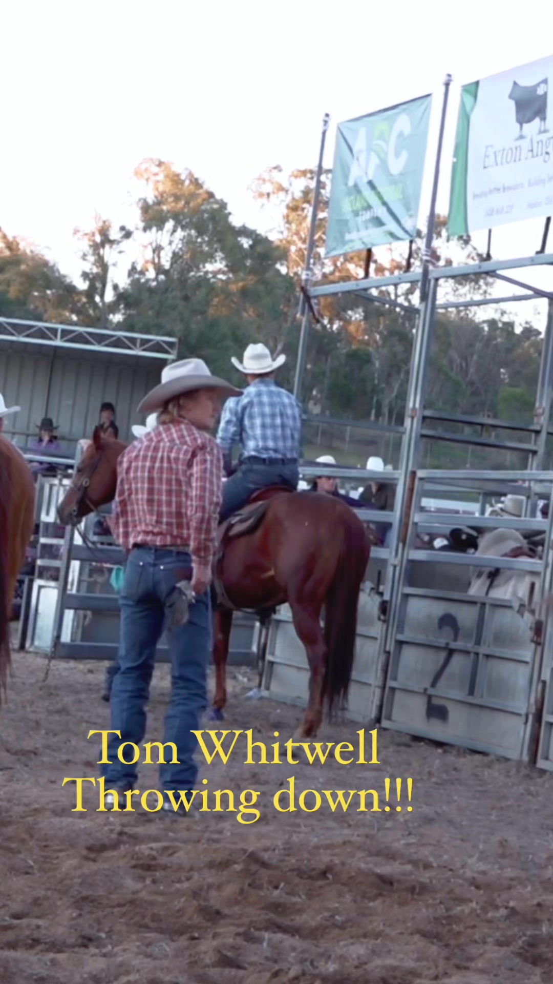 Wam Bam thank you ma’am from Mr Tom Whitwell..!! | The RODEO Channel ...