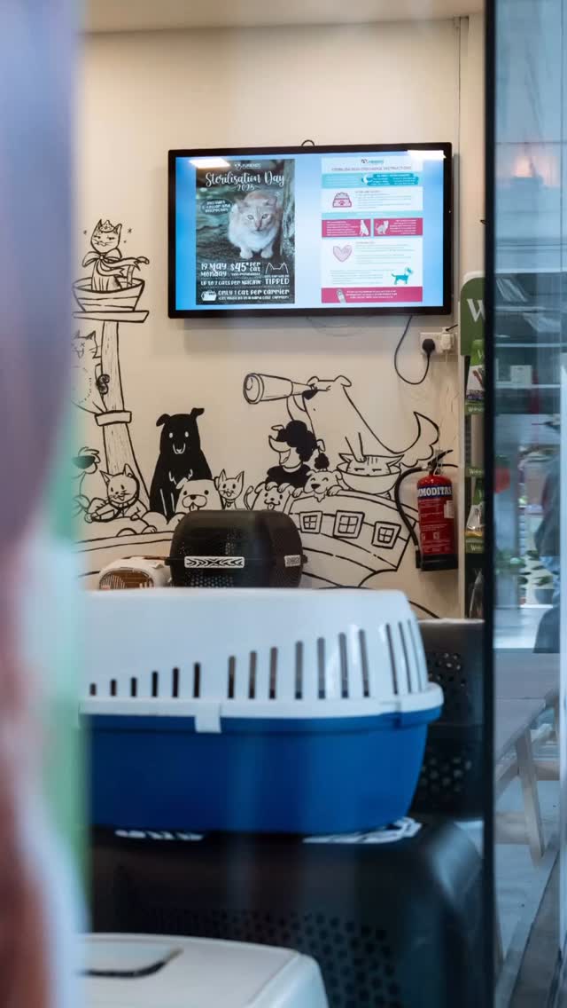 Furiends Veterinary Clinic | Singapore Singapore