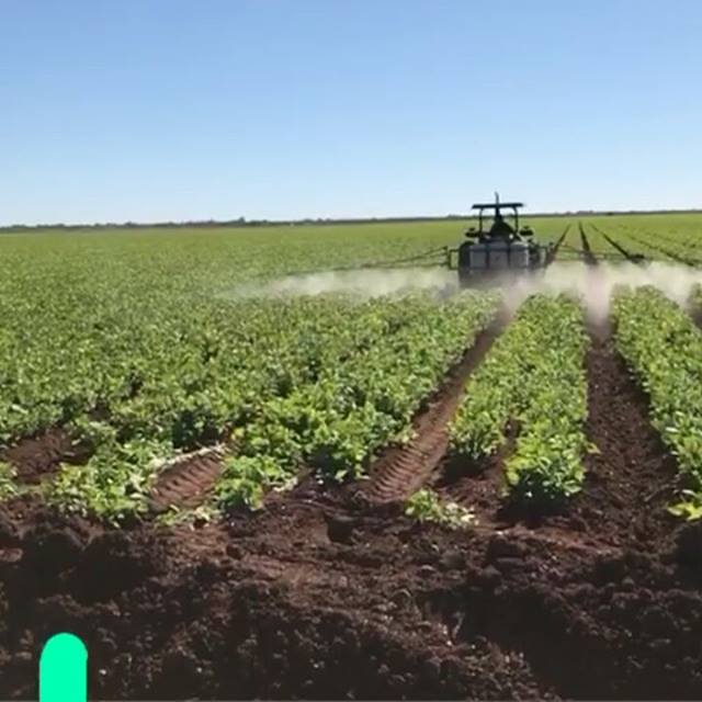 |Aplicación Quiver® En Laboratorios Quiver® formulamos agronutrientes ...
