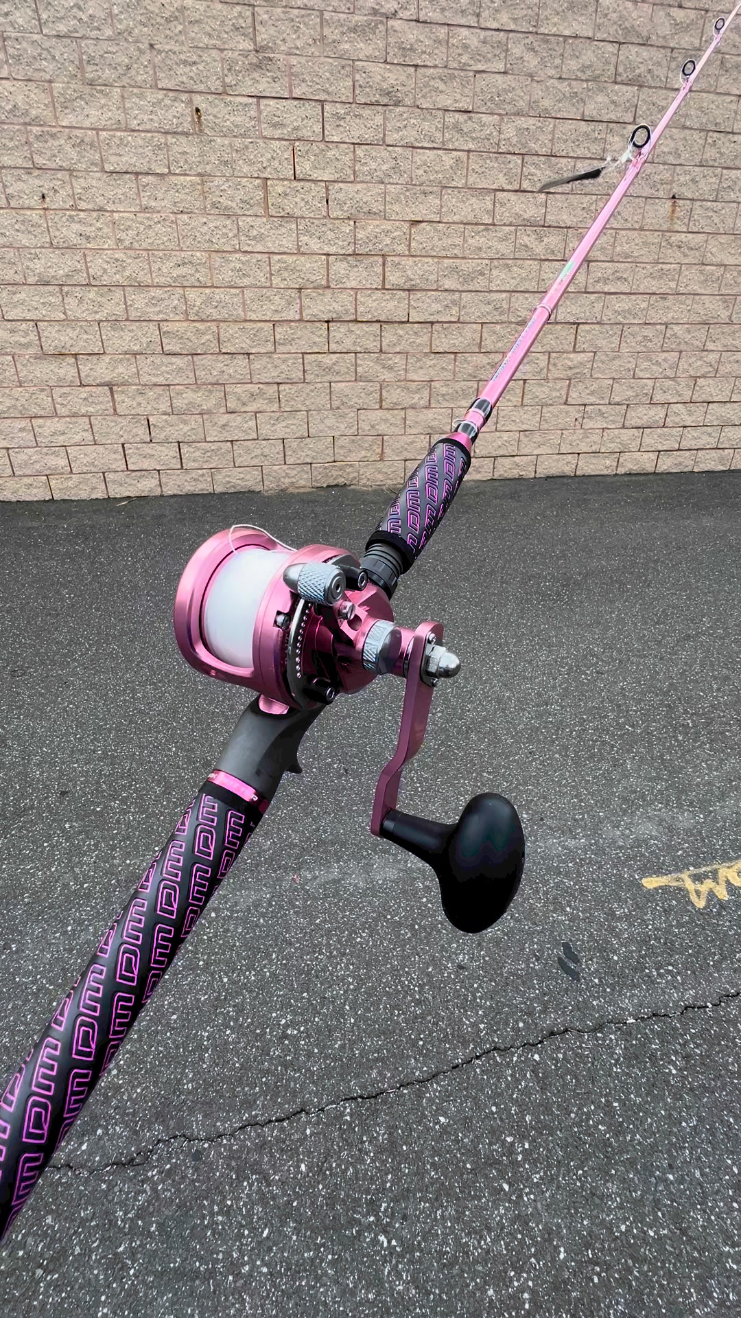 avet pink reels SX 5.3 Lever Drag Conventional Precision machined stainless steel gears Avet  Shop Top-Quality Surf