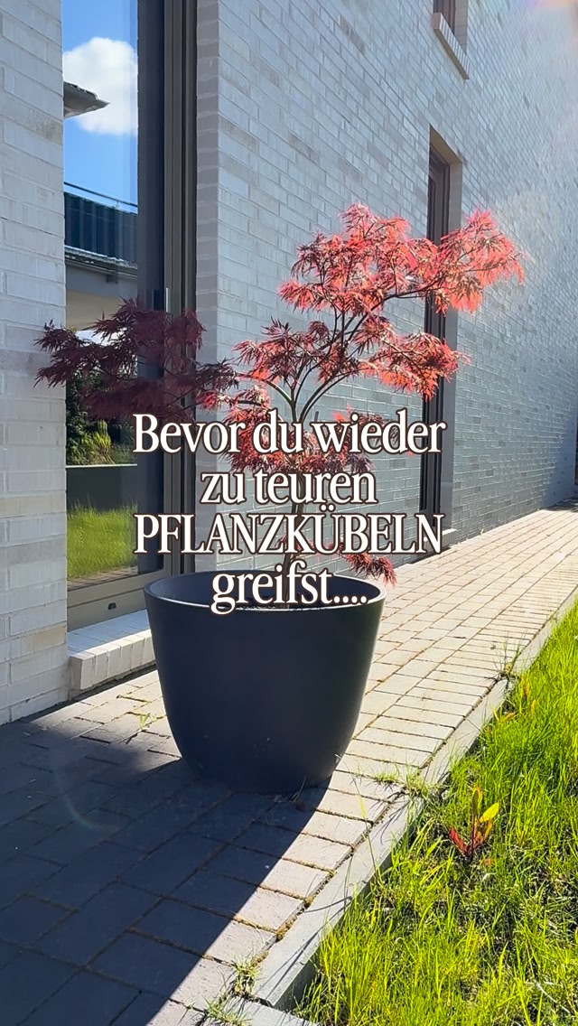 Bevor du wieder zu teuren Pflanzkübeln greifst... schau dir diese hier von @jysk_deutschland an! , Schlicht, robust und perfekt für draußen! 💚, Wir wissen alle, wie teuer solche großen Kübel sein