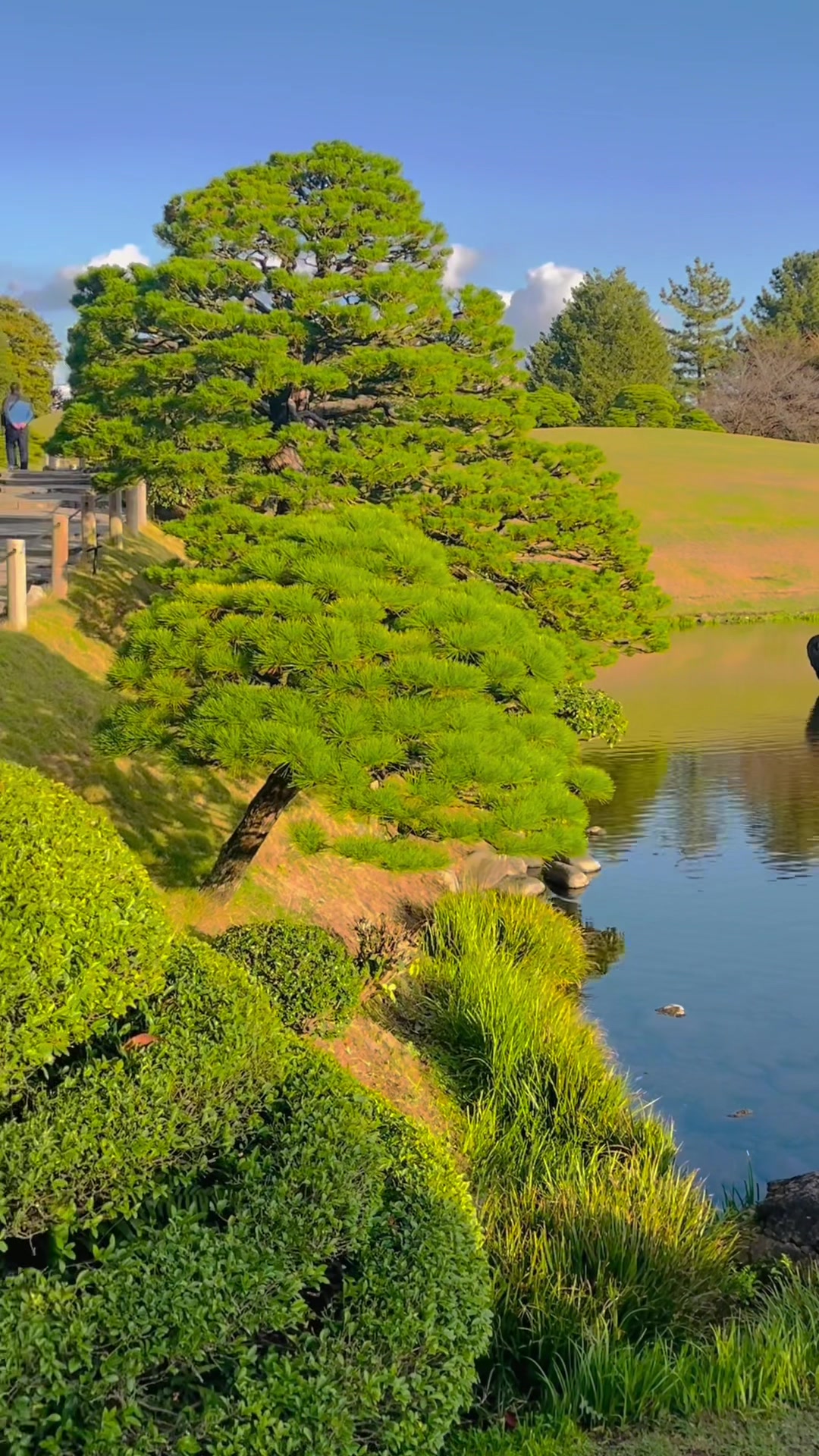 Our National Garden Week tour ends in Kumamoto En. This peaceful
