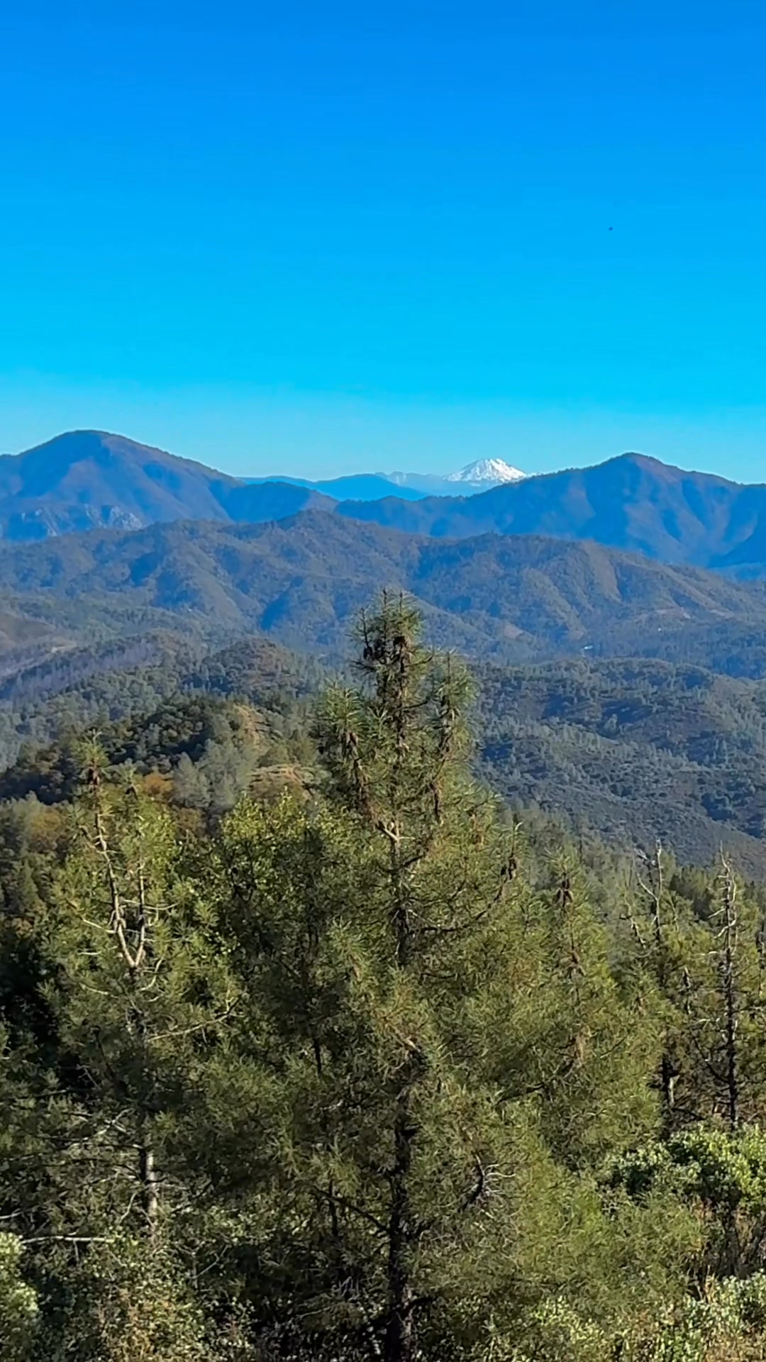 Lassen Peak, Shasta Lake, and Mt. Shasta fill the horizon from ...