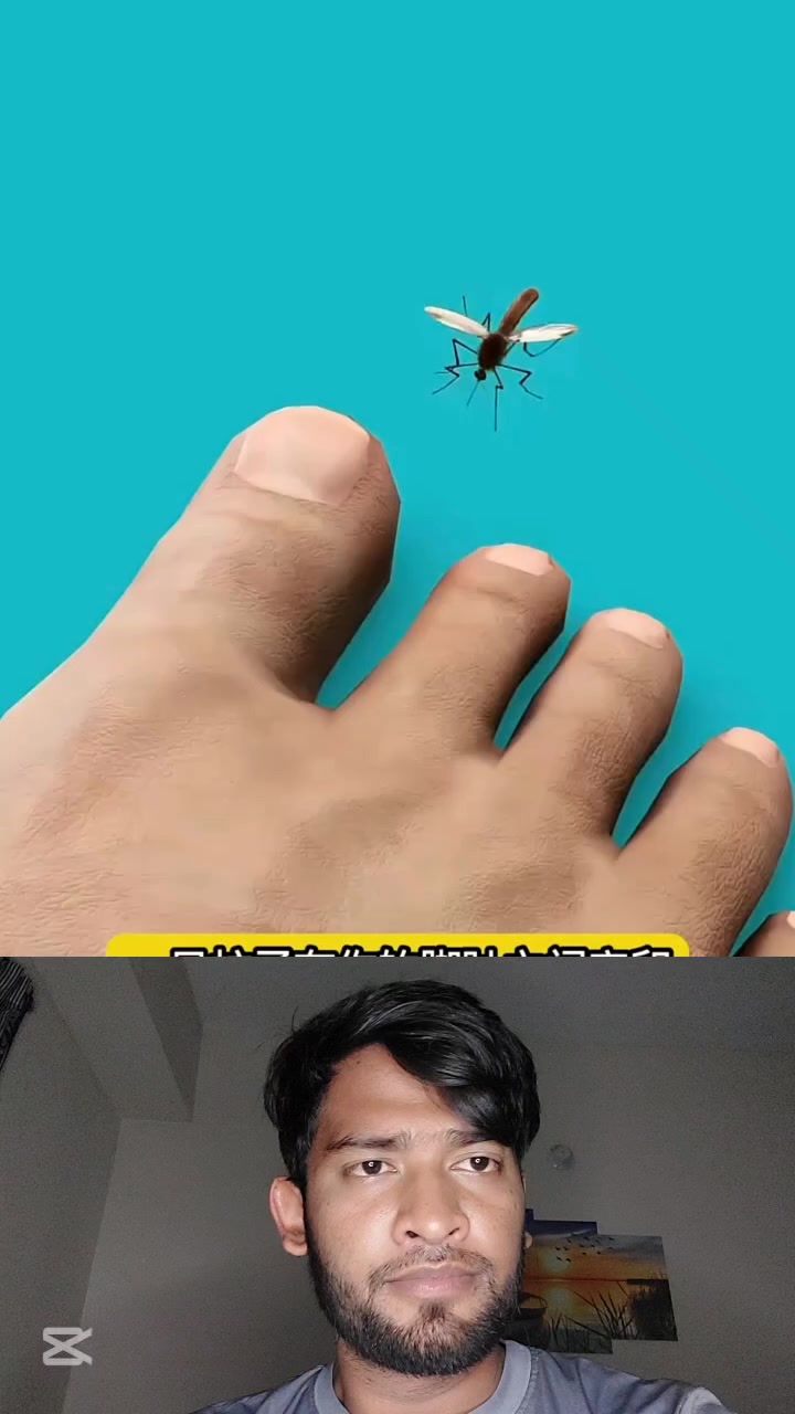 মশাই মানুষের শরীরে ডিম পারলে কিভাবে দেখেন #FacebookPage #viralvideoシ ...