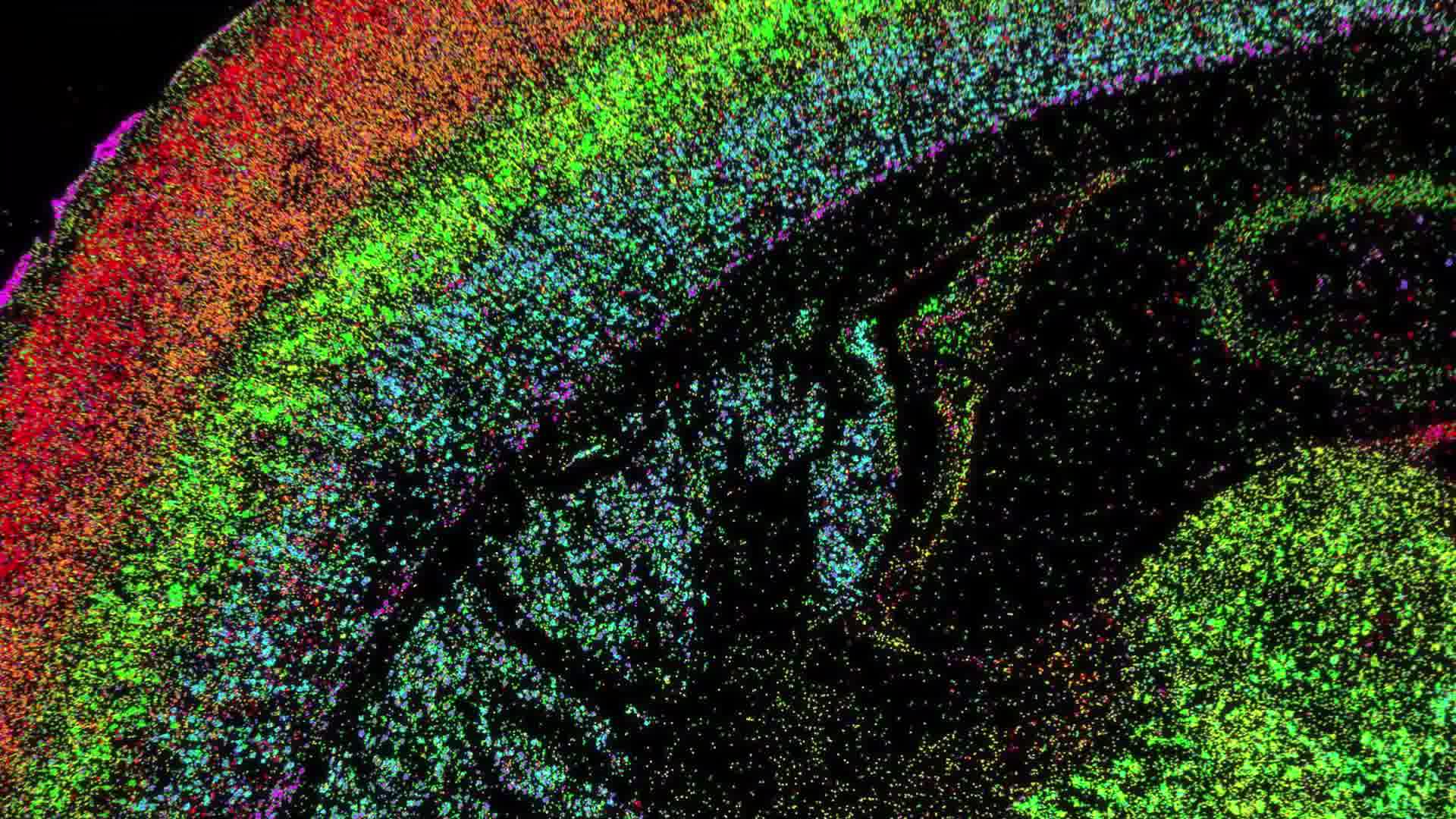Watch this video now to understand the four main types of spatial ...