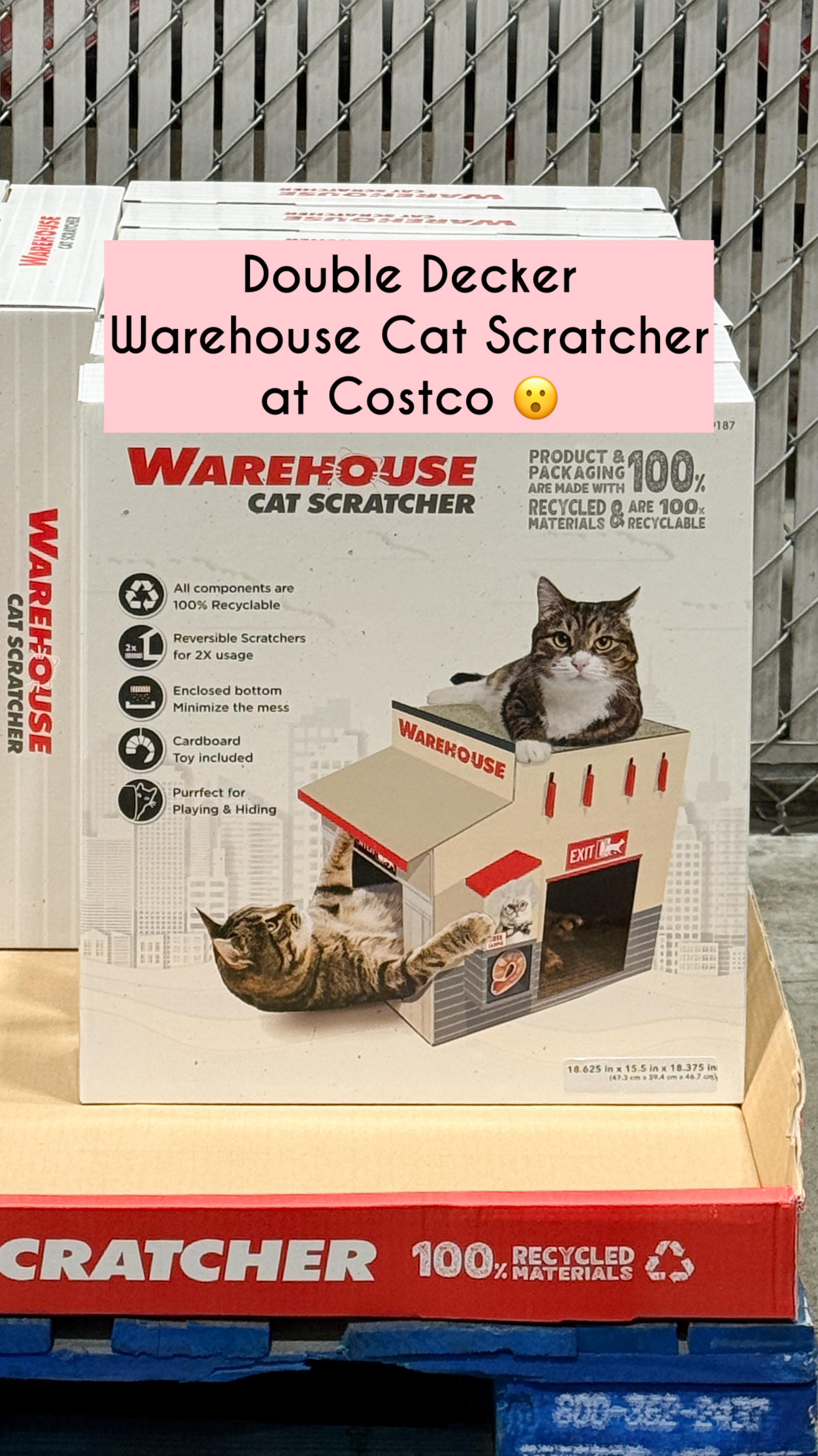 I finally spotted the Warehouse Cat Scratcher at Costco 😮 This