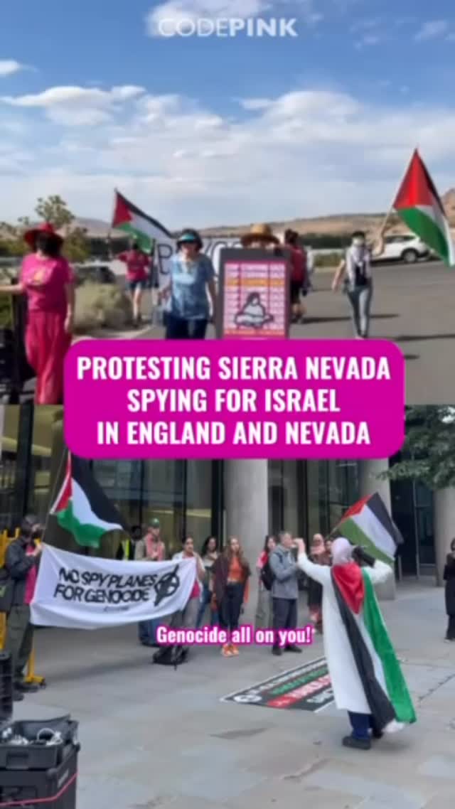 Jan 10, 2026 @codepinkreno and @nn.dsa hosted a rally for Hands off ...